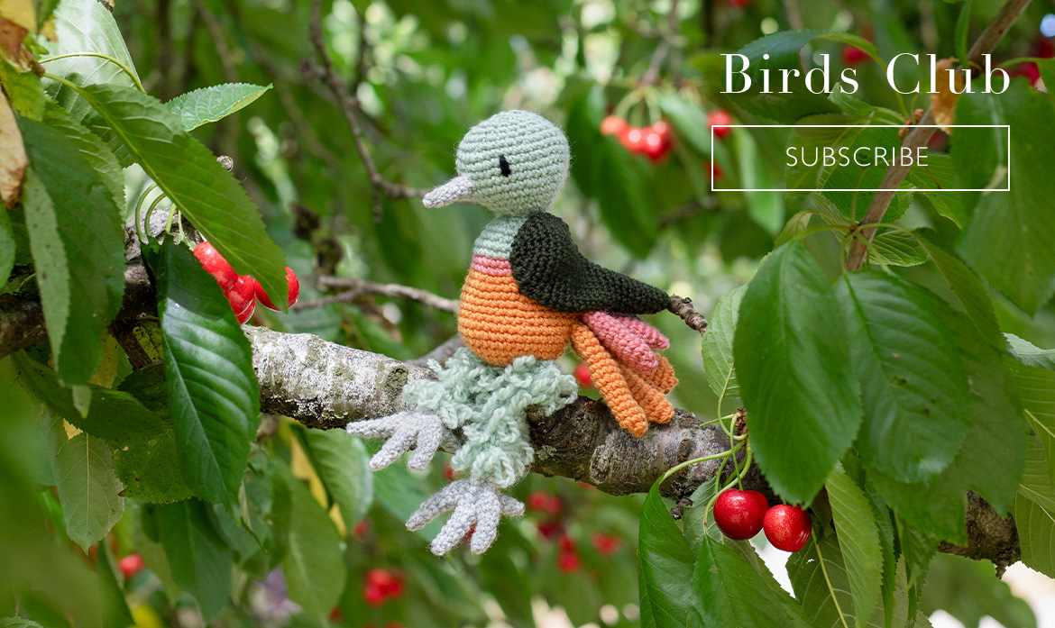 toft birds club crochet subscription
